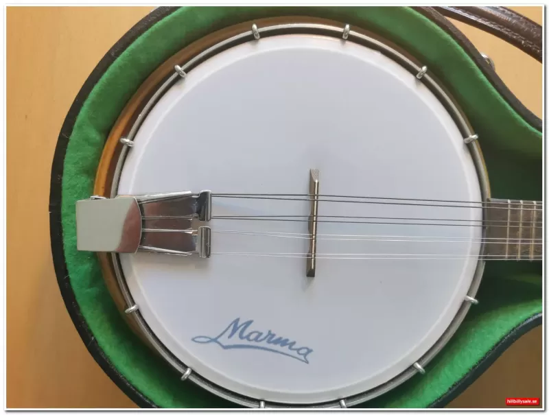 Musikinstrument